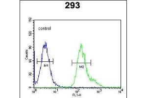 PCB Antibody (N-term) (ABIN651181 and ABIN2840115) flow cytometric analysis of 293 cells (right histogram) compared to a negative control cell (left histogram). (PMPCB 抗体  (N-Term))