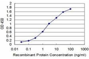 Detection limit for recombinant GST tagged MIB2 is approximately 0. (MIB2 抗体  (AA 381-480))