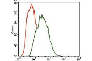 Flow cytometric analysis of SK-N-SH cells using MARK3 mouse mAb (green) and negative control (red). (MARK3 抗体  (AA 435-658))
