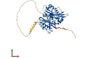 Protein Structure (PS) image for N-Myristoyltransferase 1 (NMT1) (AA 1-496) protein (His tag) (ABIN7549837)