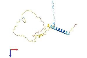 GAPT Protein (AA 1-157) (His tag)
