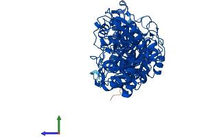 AlphaFold protein structure predicition of Mouse Recombinant Tktl2 Protein, UniprotID Q9D4D4