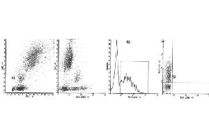 Image no. 1 for anti-CD38 antibody (ABIN1106330) (CD38 抗体)