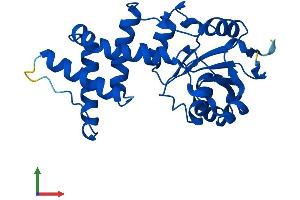 Protein Structure (PS) image for Enolase-Phosphatase 1 (ENOPH1) (AA 1-257) protein (His tag) (ABIN7558542)