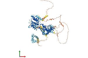 Protein Structure (PS) image for EPS8-Like 2 (EPS8L2) (AA 1-729) protein (His tag) (ABIN7560332)