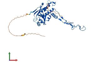 Protein Structure (PS) image for Mitochondrial Ribosomal Protein L4 (MRPL4) (AA 1-311) protein (His tag) (ABIN7551455)