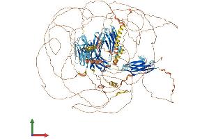 Protein Structure (PS) image for Palladin, Cytoskeletal Associated Protein (PALLD) (AA 1-1408) protein (His tag) (ABIN7565070)