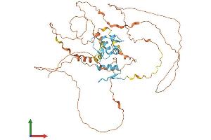 Protein Structure (PS) image for Kruppel-Like Factor 4 (Gut) (KLF4) (AA 1-483) protein (His tag) (ABIN7563877)