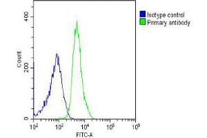 Overlay histogram showing U-2OS cells stained with Antibody (green line). (HRPT2 抗体  (AA 132-161))