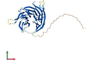 Protein Structure (PS) image for SEH1-Like (SEH1L) (AA 1-360) protein (His tag) (ABIN7545914)