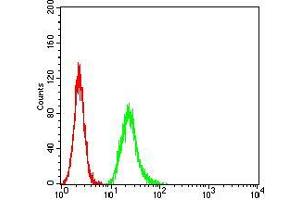 Flow cytometric analysis of Hela cells using NS1 mouse mAb (green) and negative control (red). (NS1 (AA 1-216) 抗体)