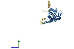 AlphaFold protein structure predicition of Mouse Recombinant Npsr1 Protein, UniprotID Q8BZP8