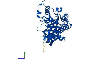 Protein Structure (PS) image for Aspartoacylase (ASPA) (AA 1-313) protein (His tag) (ABIN7551978)
