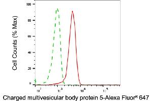 Flow cytometric analysis of Charged multivesicular body protein 5 expression in HepG2 cells using Charged multivesicular body protein 5 antibody (ABIN7798033), 1:1,000).
