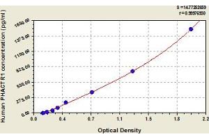 Typical Standard Curve (PHACTR1 ELISA 试剂盒)