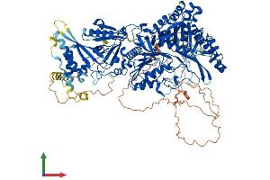 Protein Structure (PS) image for Phospholipase D1 (PLD1) (AA 1-1074) protein (His tag) (ABIN7554994)