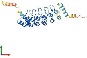 Protein Structure (PS) image for Ankyrin Repeat Domain 7 (ANKRD7) (AA 1-254) protein (His tag) (ABIN7552152)