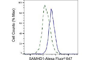 Validation of SAMHD1 knockdown using flow cytometry. (Recombinant SAMHD1 抗体)