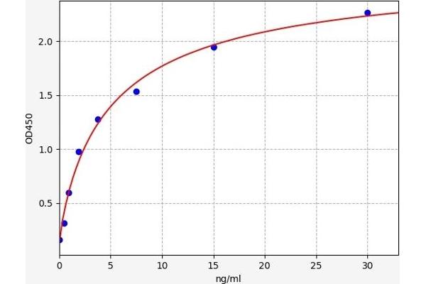 BNIP3L/NIX ELISA 试剂盒