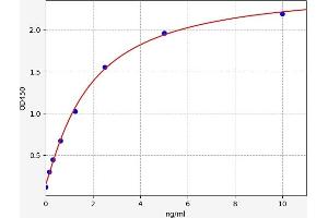 Typical standard curve (USP33 ELISA 试剂盒)