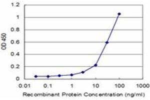 Detection limit for recombinant GST tagged CLIC3 is approximately 3ng/ml as a capture antibody. (CLIC3 抗体  (AA 137-236))