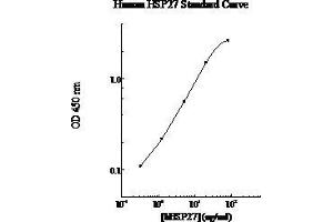 ELISA image for Heat Shock Protein 27 (HSP27) ELISA Kit (ABIN612709) (HSP27 ELISA 试剂盒)