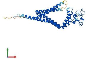 Protein Structure (PS) image for Tetraspanin 33 (TSPAN33) (AA 1-283) protein (His tag) (ABIN7544809)