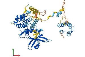 AlphaFold protein structure predicition of Mouse Recombinant Mapkapk5 Protein, UniprotID O54992