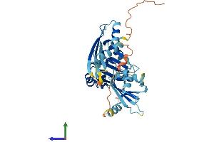AlphaFold protein structure predicition of Mouse Recombinant Dnd1 Protein, UniprotID Q6VY05