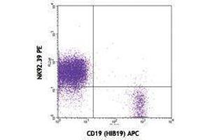 Flow Cytometry (FACS) image for anti-CD96 (CD96) antibody (PE) (ABIN2663659) (CD96 抗体  (PE))