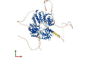 AlphaFold protein structure predicition of Human Recombinant LIG1 Protein, UniprotID P18858