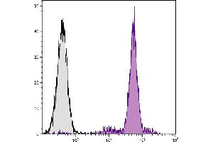 Porcine peripheral blood granulocytes were stained with Mouse Anti-Porcine Monocyte/Granulocyte-PE. (Monocyte/Granulocyte 抗体  (PE))