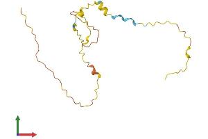 Protein Structure (PS) image for Psoriasis Susceptibility 1 Candidate 1 (PSORS1C1) (AA 1-152) protein (His tag) (ABIN7551066)
