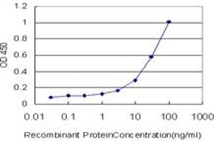 Detection limit for recombinant GST tagged MSH6 is approximately 1ng/ml as a capture antibody. (MSH6 抗体  (AA 931-1030))