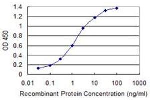 Detection limit for recombinant GST tagged ARFIP2 is 0. (ARFIP2 抗体  (AA 1-110))