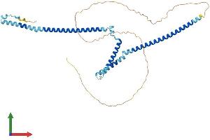 Protein Structure (PS) image for Wilms Tumor 1 Associated Protein (WTAP) (AA 1-396) protein (His tag) (ABIN7553962)