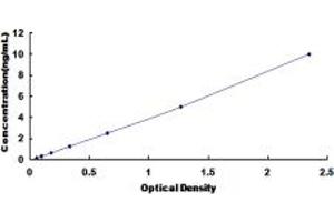 Typical standard curve (GNAI3 ELISA 试剂盒)