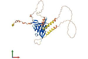 Protein Structure (PS) image for N(alpha)-Acetyltransferase 30, NatC Catalytic Subunit (NAA30) (AA 1-364) protein (His tag) (ABIN7559291)