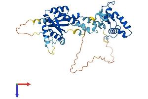 AlphaFold protein structure predicition of Human Recombinant EME2 Protein, UniprotID A4GXA9