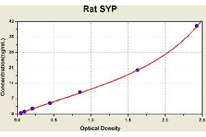 Diagramm of the ELISA kit to detect Rat SYPwith the optical density on the x-axis and the concentration on the y-axis. (Synaptophysin ELISA 试剂盒)