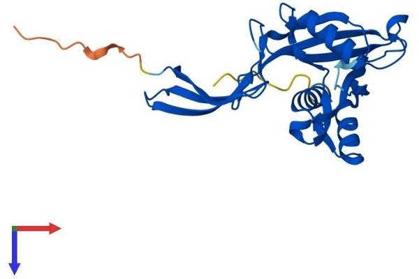NUDT5 Protein (AA 1-219) (His tag)