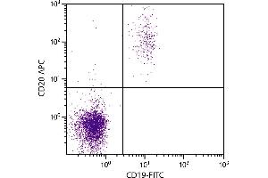 Human peripheral blood lymphocytes were stained with Mouse Anti-Human CD20-APC. (CD20 抗体  (APC))