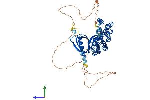 Protein Structure (PS) image for rho Guanine Nucleotide Exchange Factor (GEF) 3 (ARHGEF3) (AA 1-524) protein (His tag) (ABIN7560069)