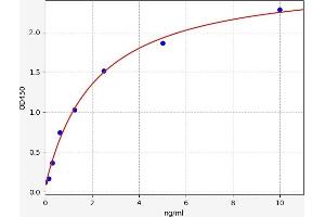 Typical standard curve (NDRG3 ELISA 试剂盒)