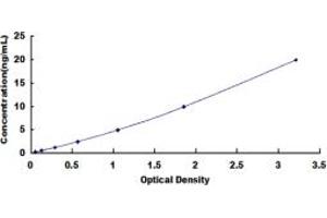 Typical standard curve (TXN ELISA 试剂盒)