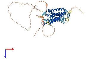 C3AR1 Protein (AA 1-482) (His tag)