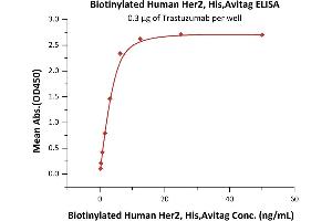 ELISA image for Receptor tyrosine-protein kinase erbB-2 (ErbB2/Her2) (AA 23-652) (Active) protein (His tag,AVI tag,Biotin) (ABIN5954984)