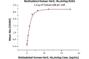Immobilized Trastuzumab at 3 μg/mL (100 μL/well) can bind Biotinylated Human Her2, His,Avitag (ABIN5954984,ABIN6253623) with a linear range of 0. (ErbB2/Her2 Protein (AA 23-652) (His tag,AVI tag,Biotin))
