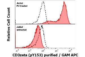 Anti-Hu CD3 zeta (pY153) purified antibody (clone EM-17) works in Flow Cytometry application Analysis of the antibody staining was performed on Jurkat cells treated or untreated with pervanadate (PV) prior to the fixation and permeabilization of cell suspension with cold methanol.