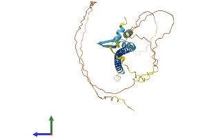 Protein Structure (PS) image for CREB/ATF BZIP Transcription Factor (CREBZF) (AA 1-354) protein (His tag) (ABIN7545297)